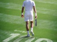 IM竞技-温网轻取拉沃尔杯，德约科维奇点燃赛场的简单介绍