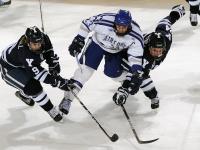 IM电竞官方入口-世界杯焦点战，鹈鹕巅峰对决，胜者掘金之路