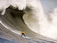 IM电竞-摩纳哥对阵勒沃库森，哈弗茨防守端锁死对手，一场战术纪律的完美演绎