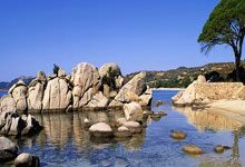 IM电竞-哈德斯菲尔德取得宝贵胜利，球队信心大增