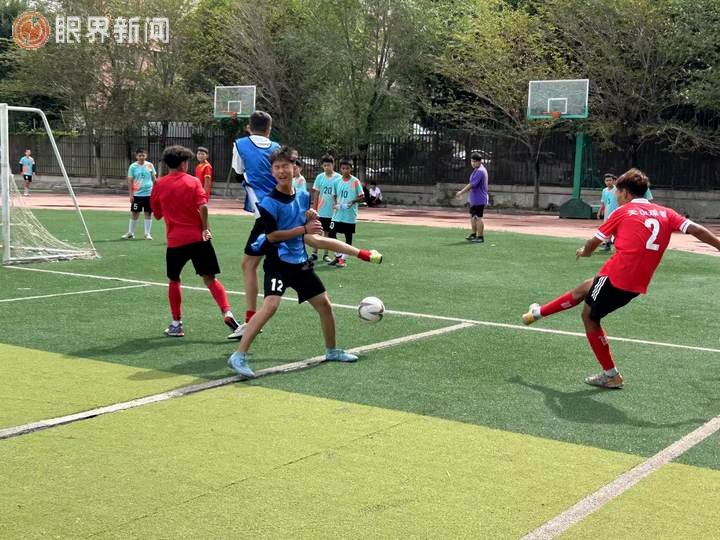 绿茵场上的激烈角逐给人留下深刻印象 绿茵场上的激烈角逐给人留下深刻印象