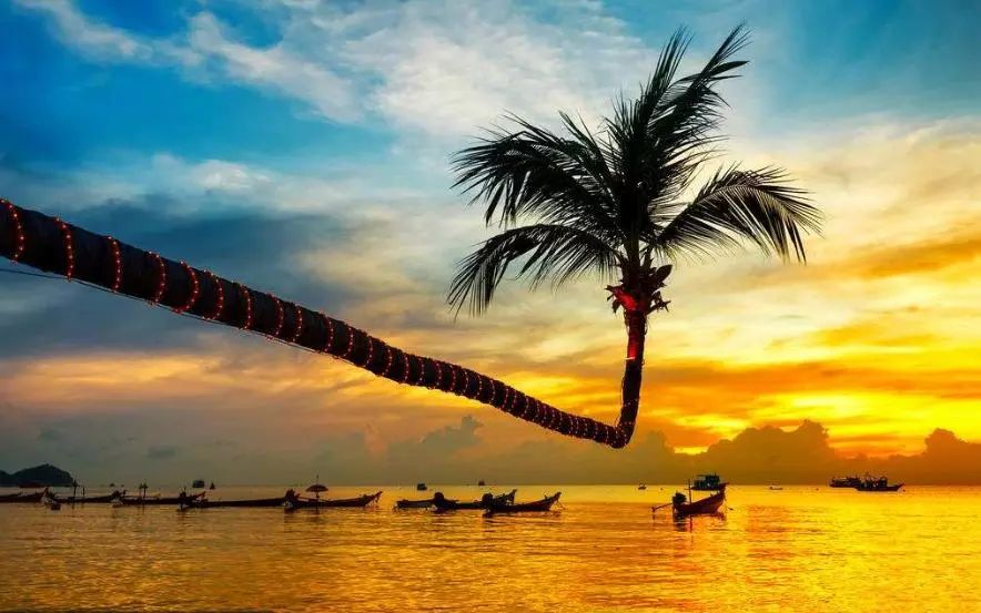 国内球队在洲际舞台上迈出关键一步 国内球队在洲际舞台上迈出关键一步