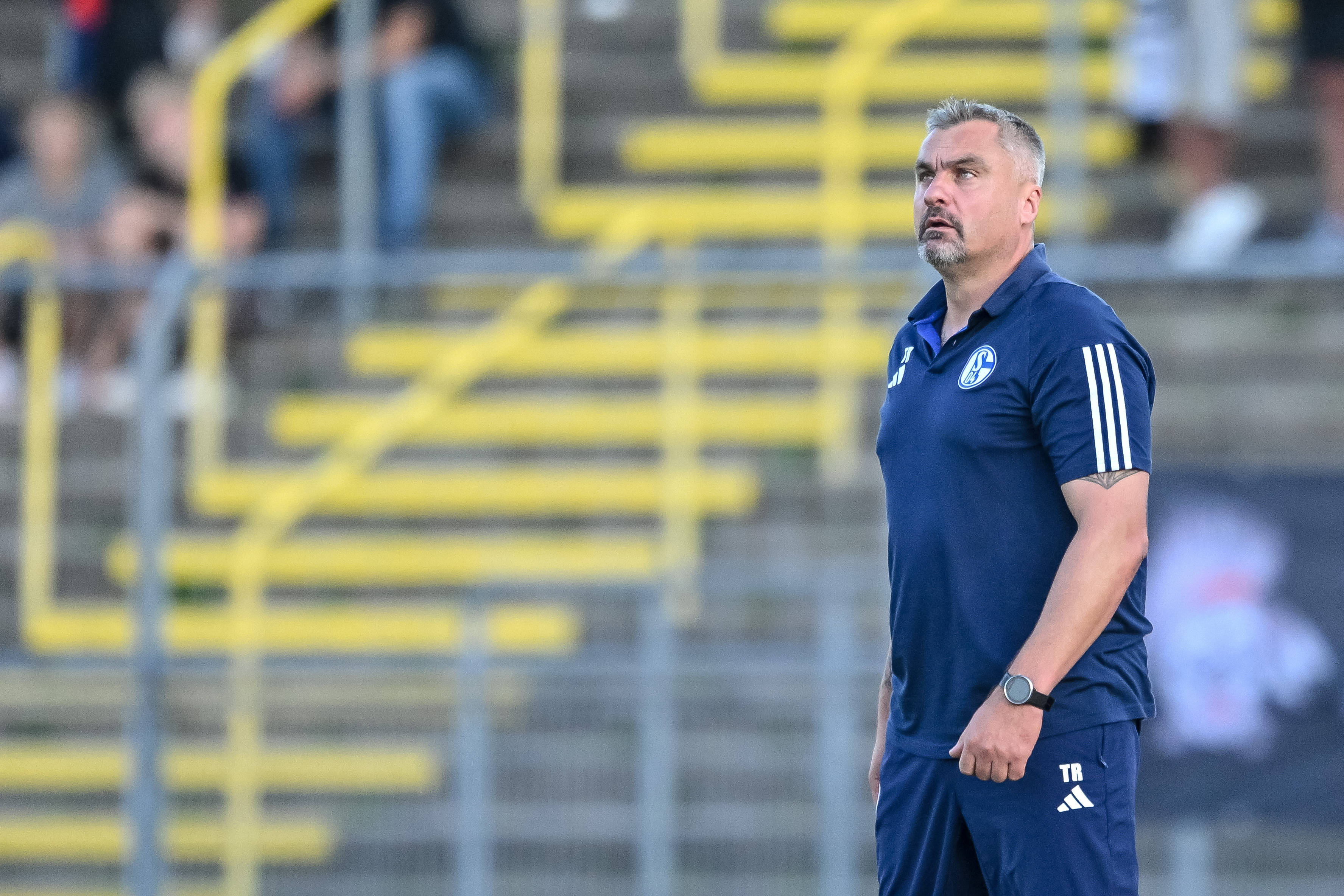 沙尔克备战成功,关键比赛迫在眉睫的简单介绍 沙尔克备战成功,关键比赛迫在眉睫的简单介绍