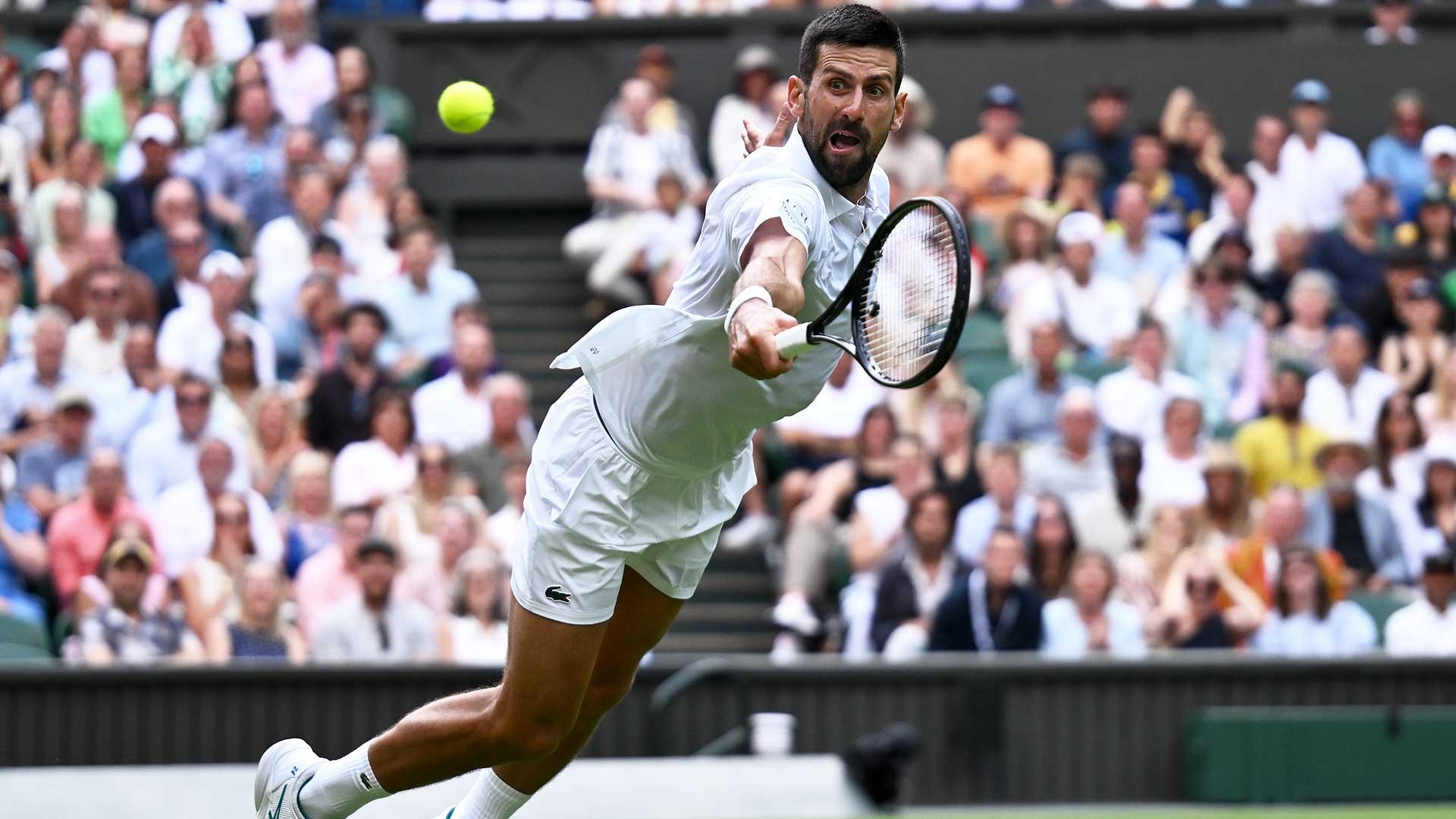 温网轻取拉沃尔杯，德约科维奇点燃赛场的简单介绍