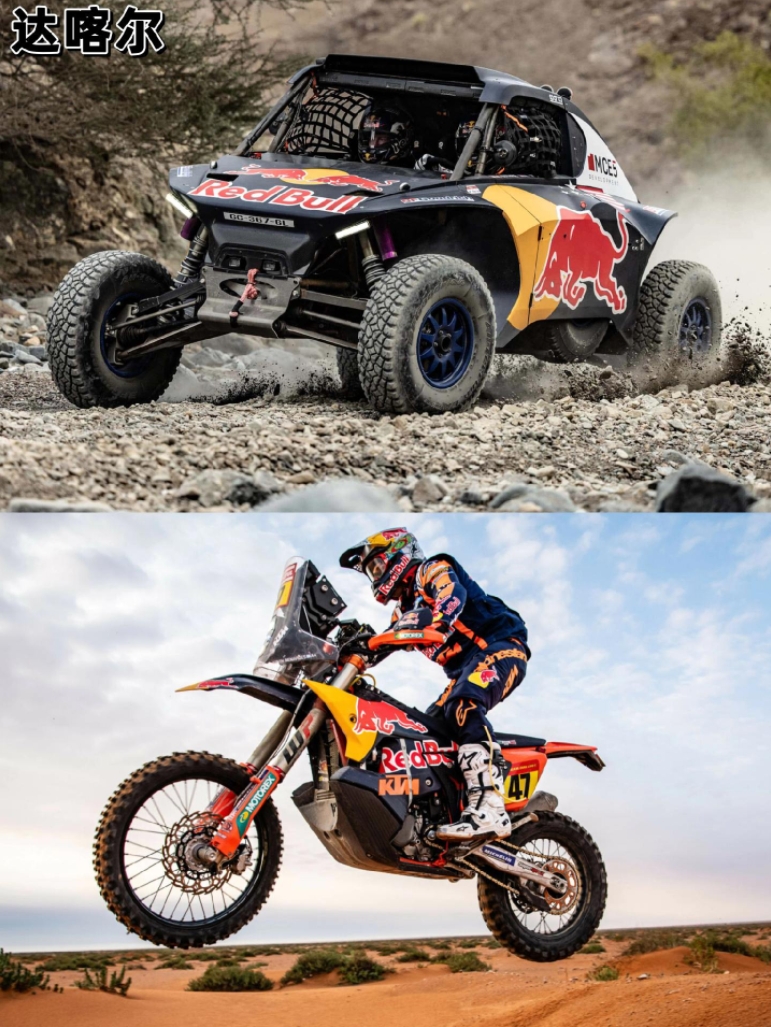 关于红牛二队翻盘红牛车队，诺里斯惊艳四座的信息