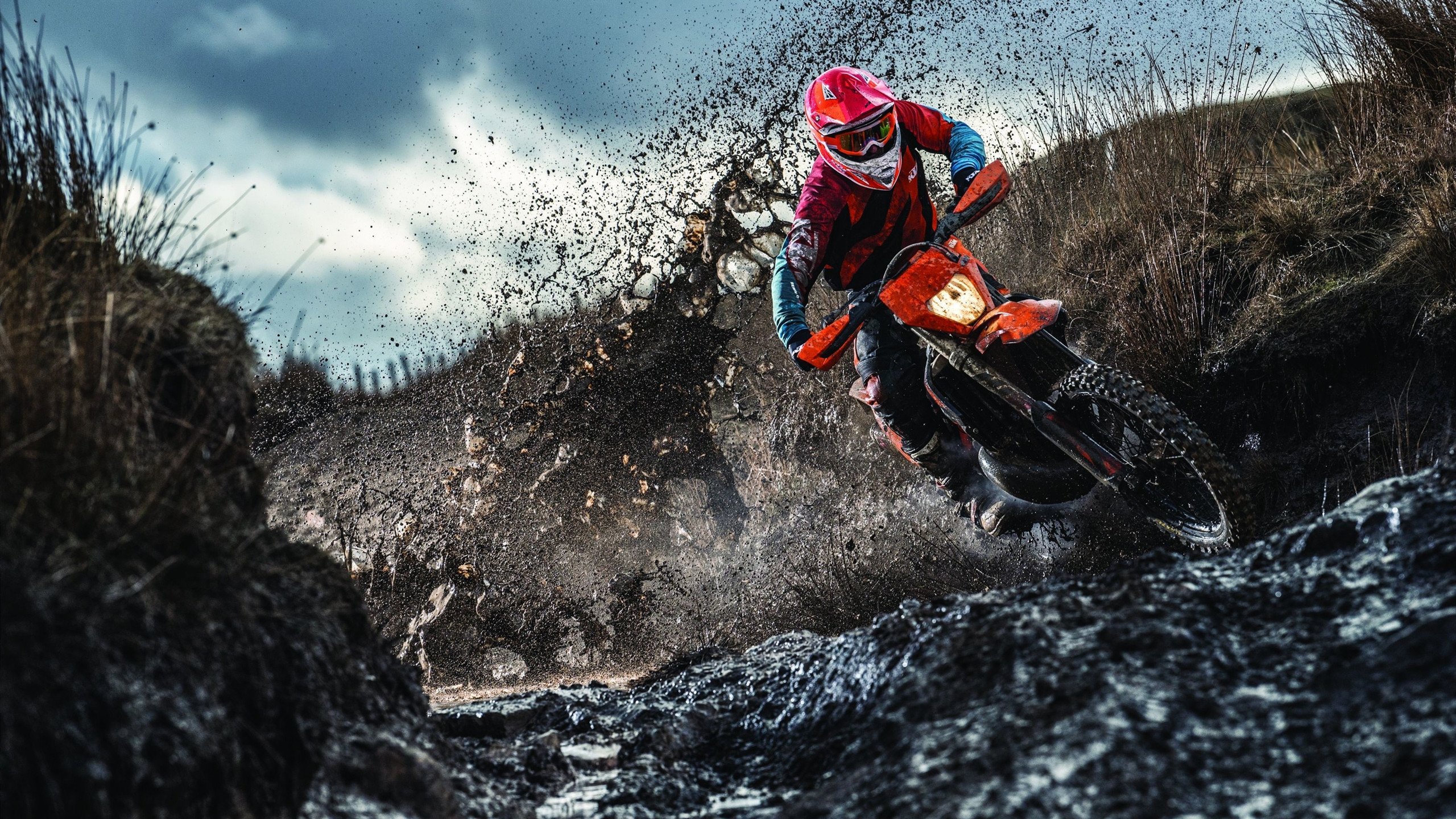 橙衣风暴中的关键先生,加克波一锤定音,厄瓜多尔淘汰土耳其背后的战术博弈